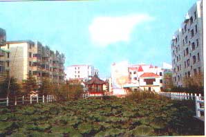 xiaoqu1.jpg (18749 bytes)